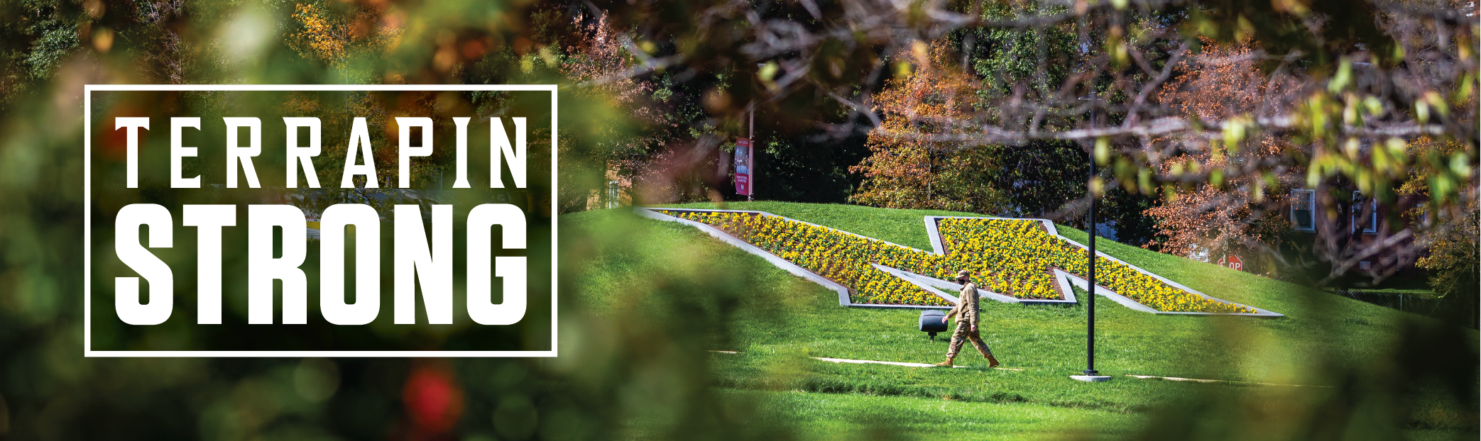 TerrapinSTRONG logo on a picture of campus grounds